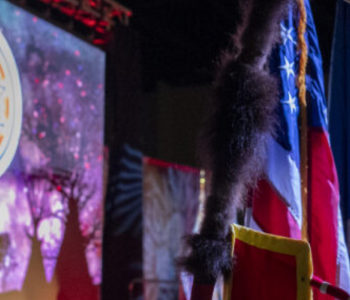 g2g stage